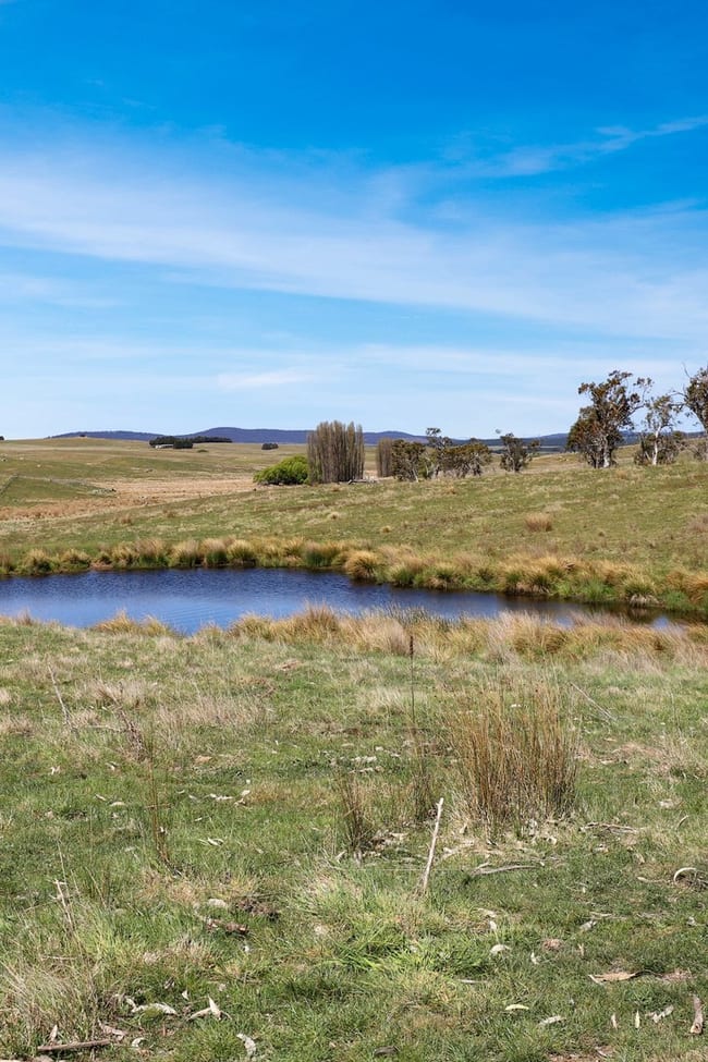"Glenroy" Corrowong Road Delegate NSW 2633