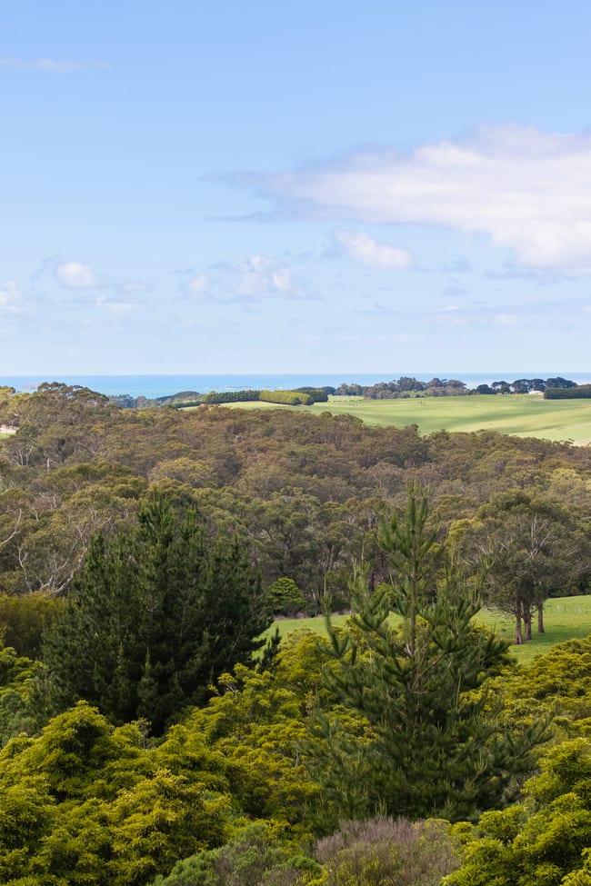 1745 Mornington-Flinders Road Flinders VIC 3929 1745 Mornington-Flinders Road Flinders VIC 3929