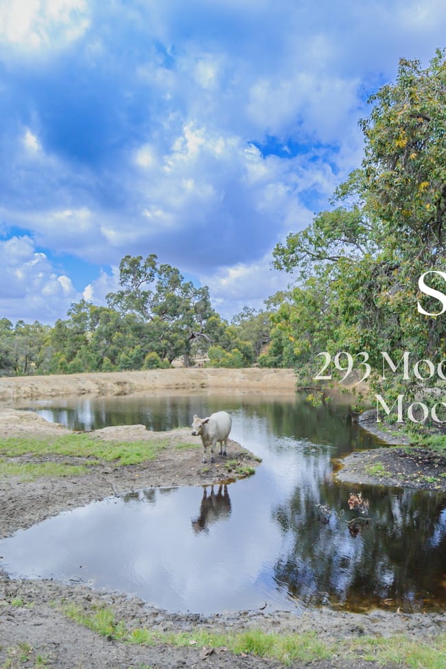293 Mooliabeenee Road Mooliabeenee WA 6504