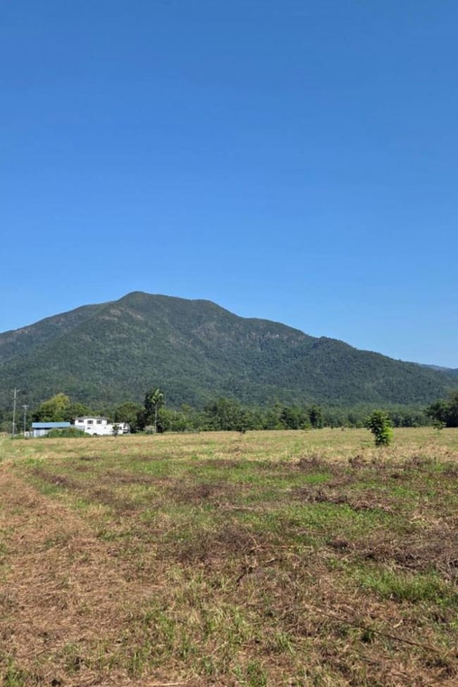 20/ Mount Gardiner Road Bemerside QLD 4850