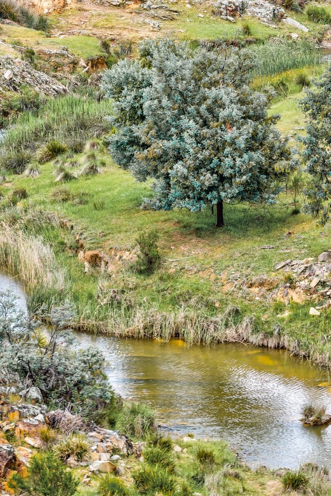 1479 Grassy Creek Road Rugby NSW 2583