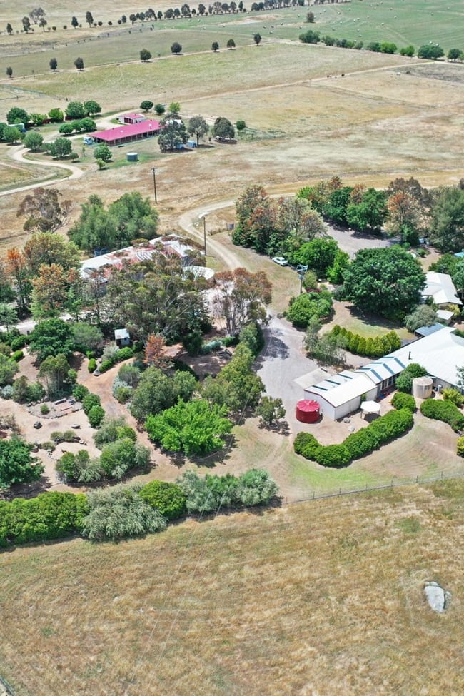20 Quamby SS Road Young NSW 2594