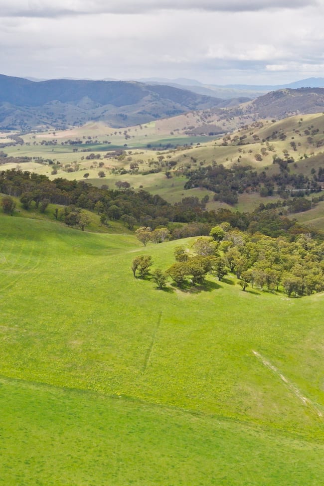 Lot 2 - 289 Tongio Gap Road Tongio VIC 3896