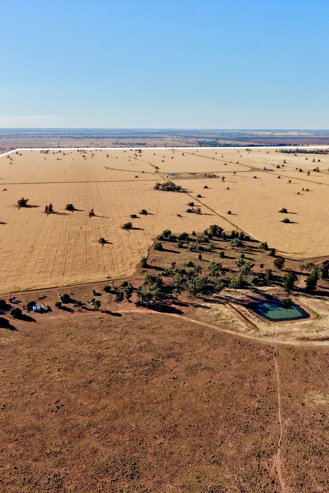 Buddabadah NSW 2825
