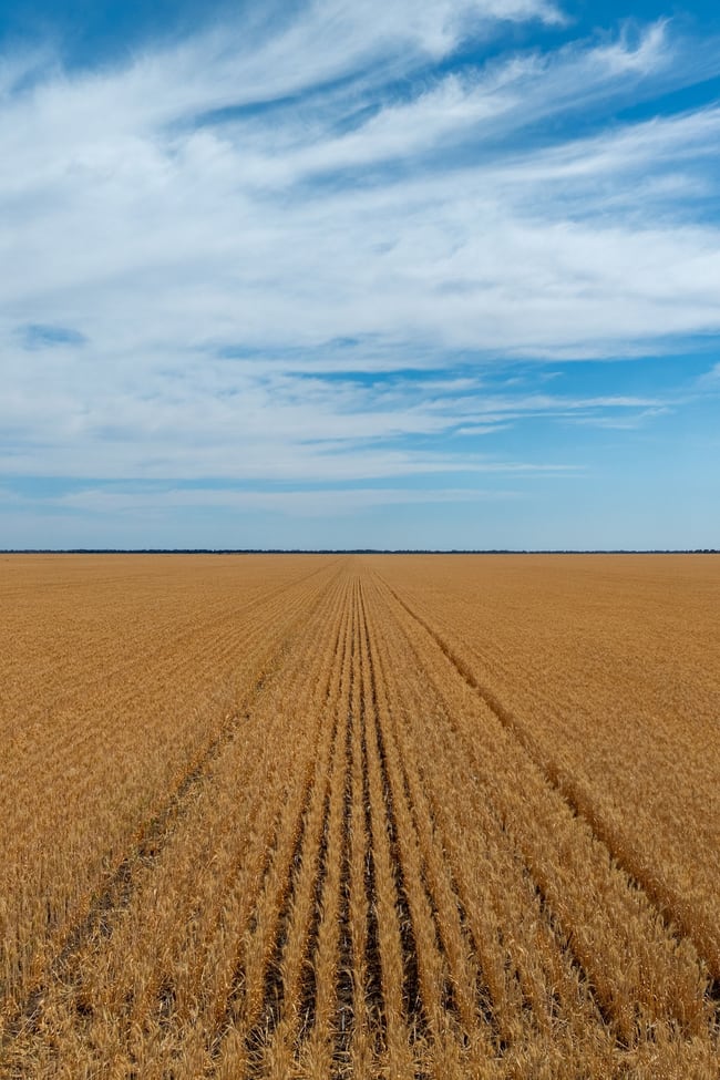 278 Daenke Road Jerilderie NSW 2716