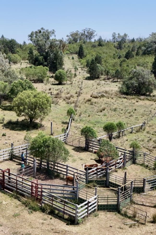 957 Killarney Gap Road Bingara NSW 2404