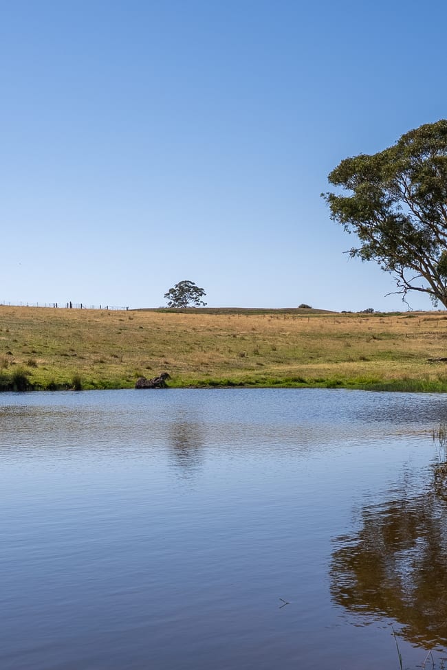 90 Convent Lane Borenore NSW 2800