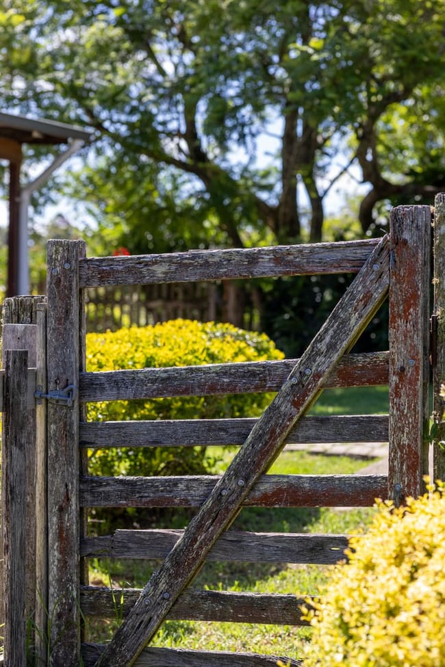 196 Tilbaroo Road Elands NSW 2429