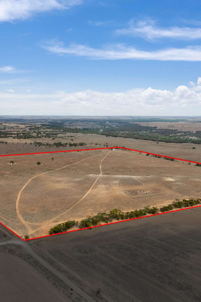 344 Rochow Road Black Hill SA 5353