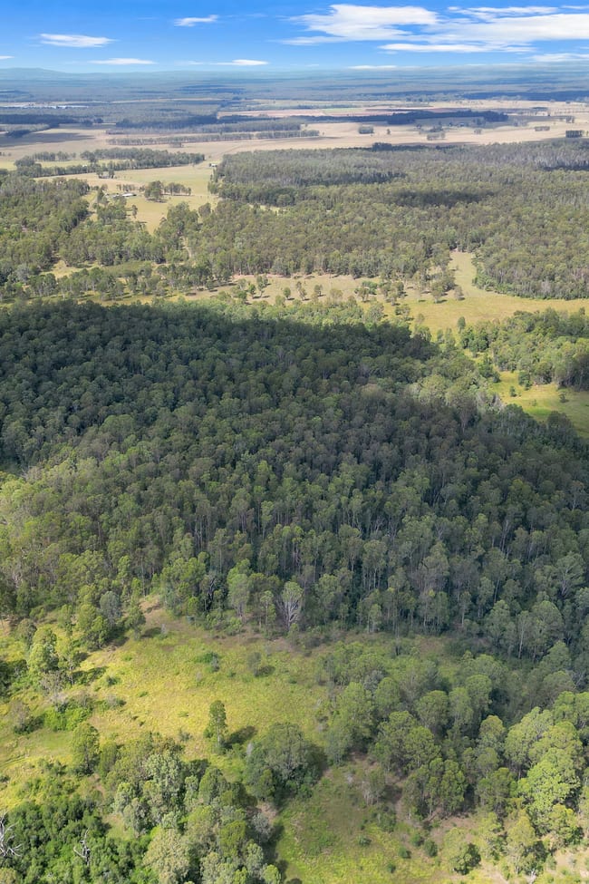 Lot 145 Ellangowan Myrtle Creek Road Ellangowan Via Casino NSW 2470