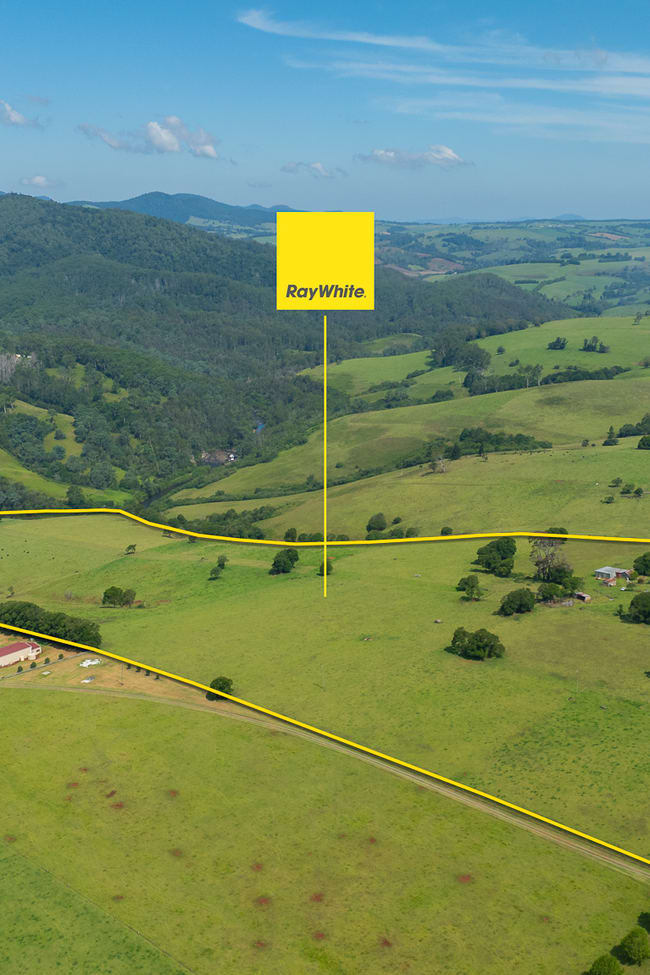 262 Snows Road Dorrigo NSW 2453