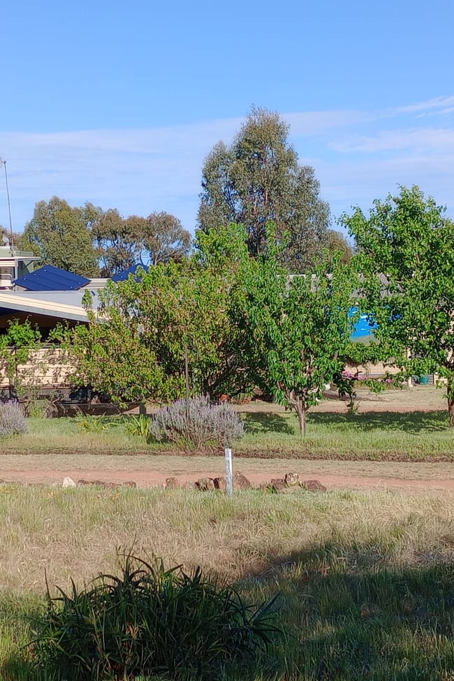Wedderburn VIC 3518 Wedderburn VIC 3518