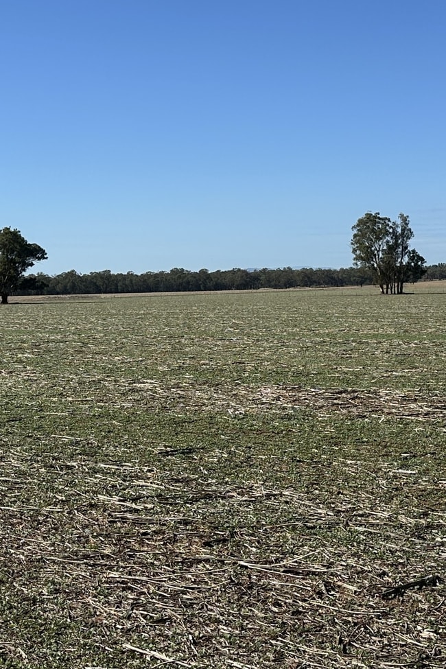. Lilydale Road Balldale NSW 2646
