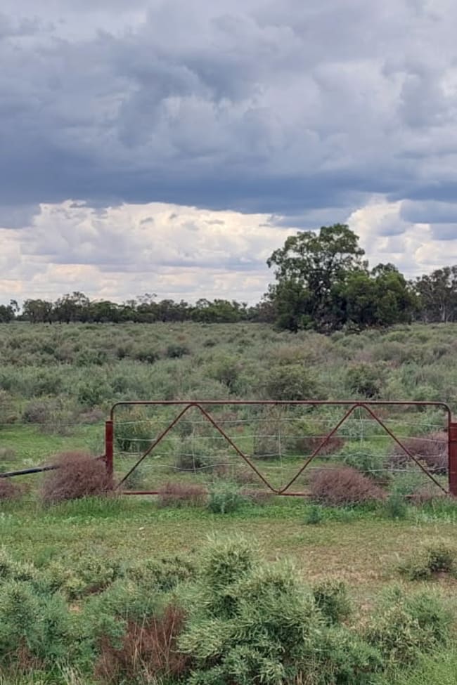 Lots 1,2,3,4 Blue Gum Oxley NSW 2711