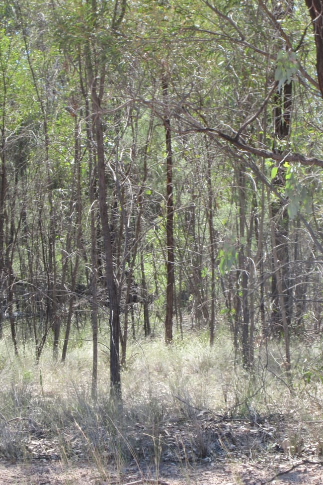 Lot 154 Lucky Road Tara QLD 4421