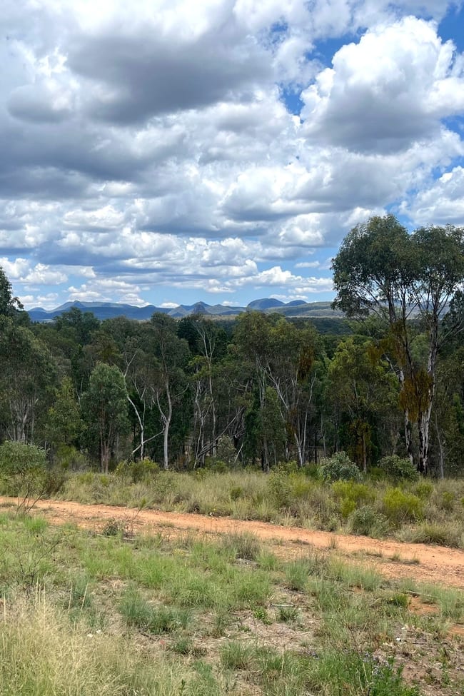 429 Timor Road Coonabarabran NSW 2357