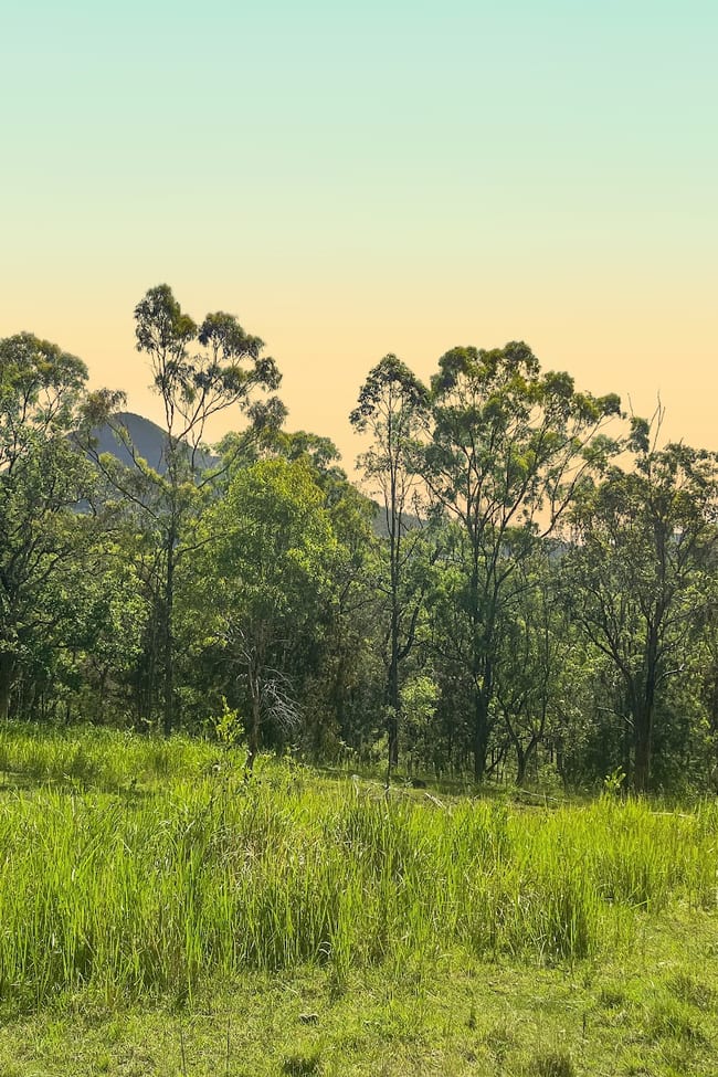 8454 Cunningham Highway Tarome QLD 4309