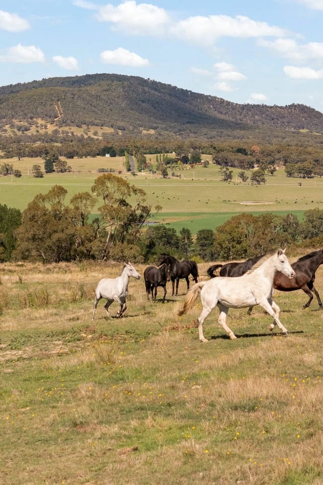 2899 Great Western Highway Meadow Flat NSW 2795