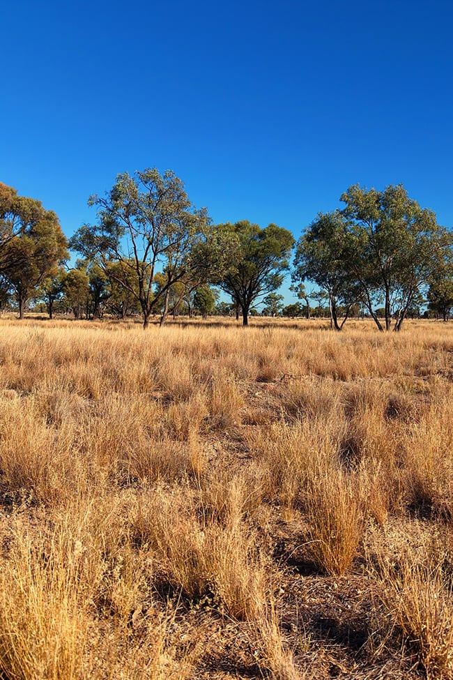 Warrambah - Bundaleer South Plains Road Cunnamulla QLD 4490