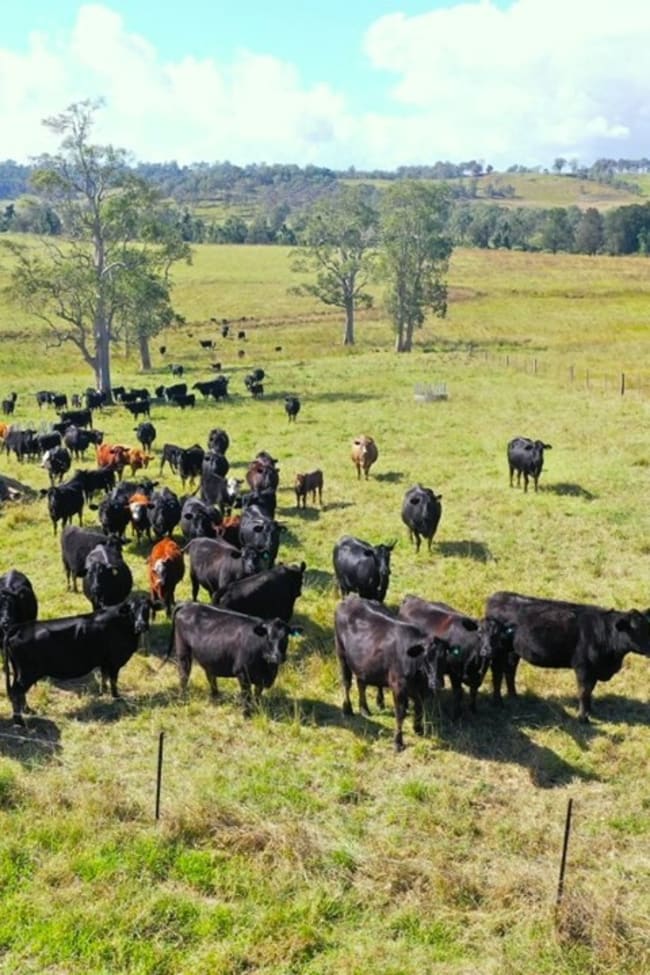 603 Knights Road Kyogle NSW 2474 603 Knights Road Kyogle NSW 2474
