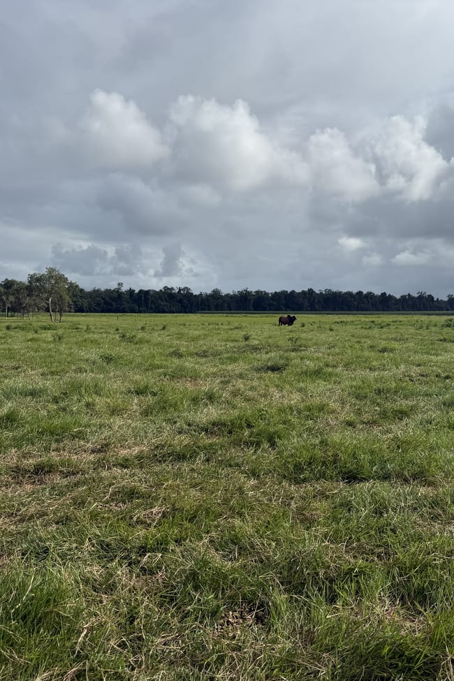 Rockingham QLD 4854