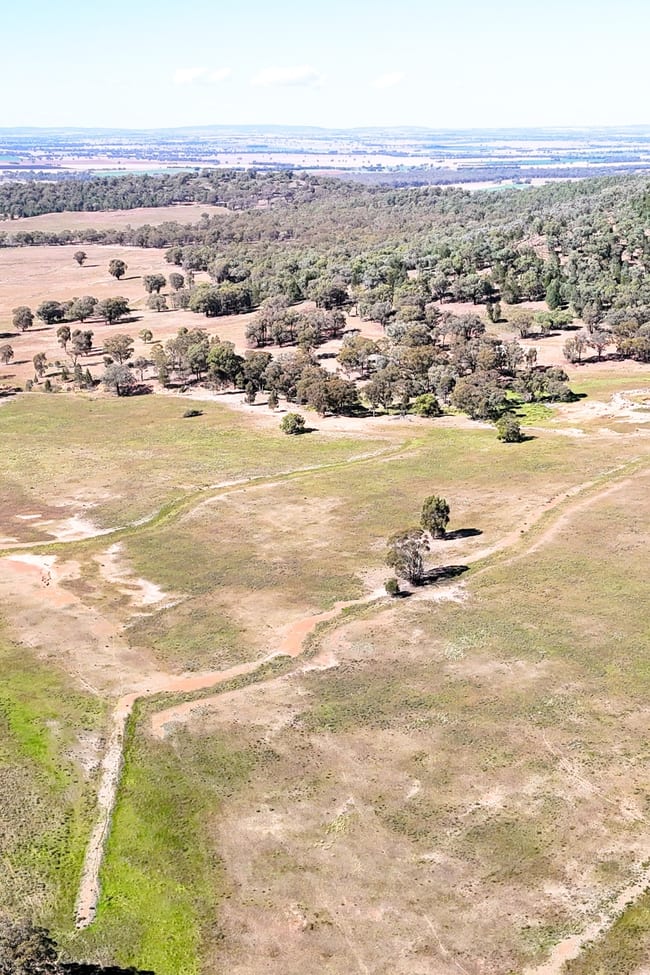 Lots 68 & 69 Stock Route Road Grenfell NSW 2810