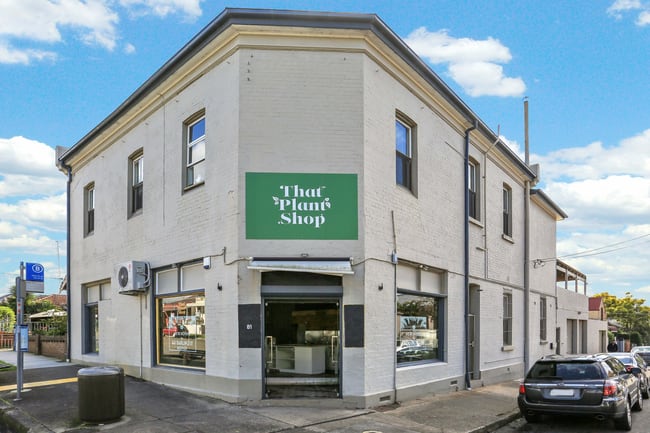 Shop/81 Allen Street Leichhardt NSW 2040