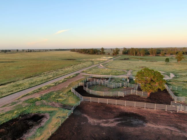 2155 Crowders Creek Road Moonie QLD 4406