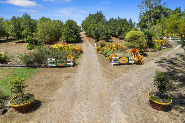 164 Old Bruce Highway Owanyilla QLD 4650