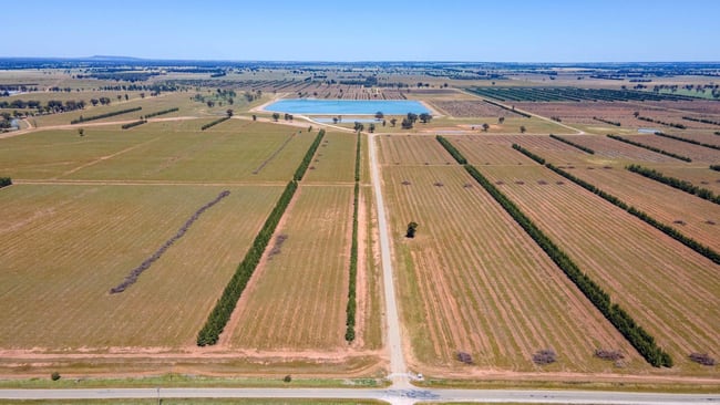 201 Dellapool Road Narrandera NSW 2700 201 Dellapool Road Narrandera NSW 2700