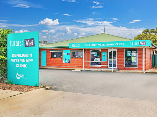 389 Poictiers Street Deniliquin NSW 2710 389 Poictiers Street Deniliquin NSW 2710