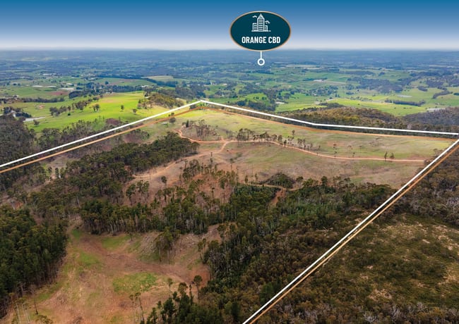 1606 Mount Canobolas Road, Orange NSW Orange NSW 2800