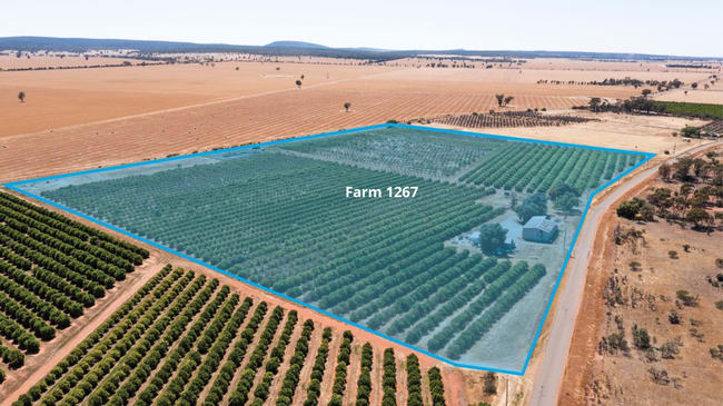 Robinson Road and Corbie Hill Road Corbie Hill NSW 2705