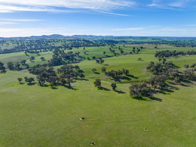7440 Hume Highway Jugiong NSW 2726