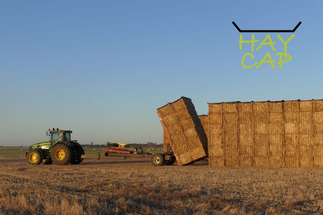 Hay Cap Tocumwal NSW 2714