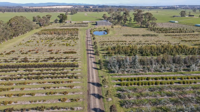 143 Archbalds Lane Tyers VIC 3844