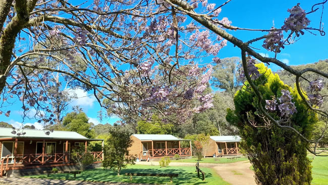20 Camping Park Road Harrietville VIC 3741