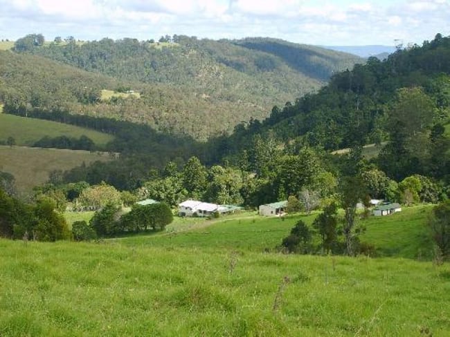 72 Goulds Falls Road Legume NSW 2476 72 Goulds Falls Road Legume NSW 2476