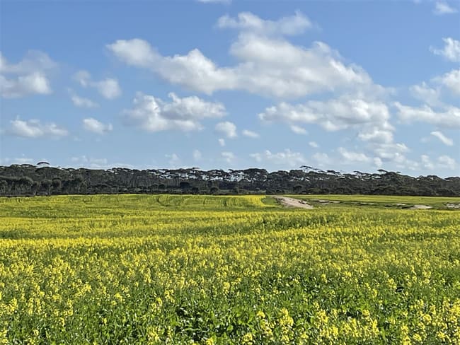 726 Lake Bryde Road Pingrup WA 6343 726 Lake Bryde Road Pingrup WA 6343