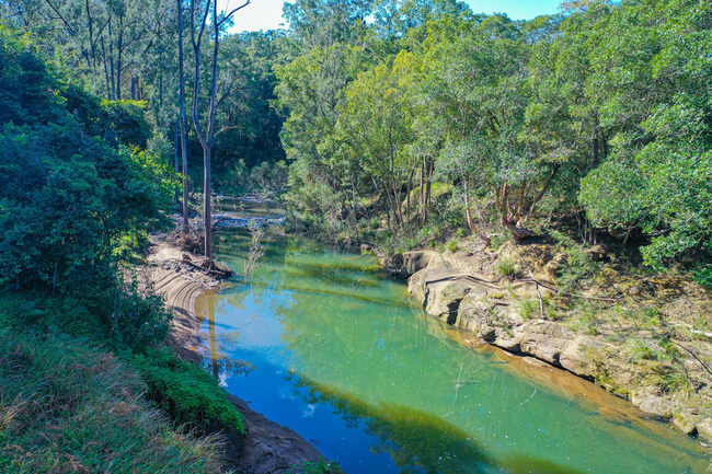 5311 Kyogle Road Cawongla NSW 2474 5311 Kyogle Road Cawongla NSW 2474