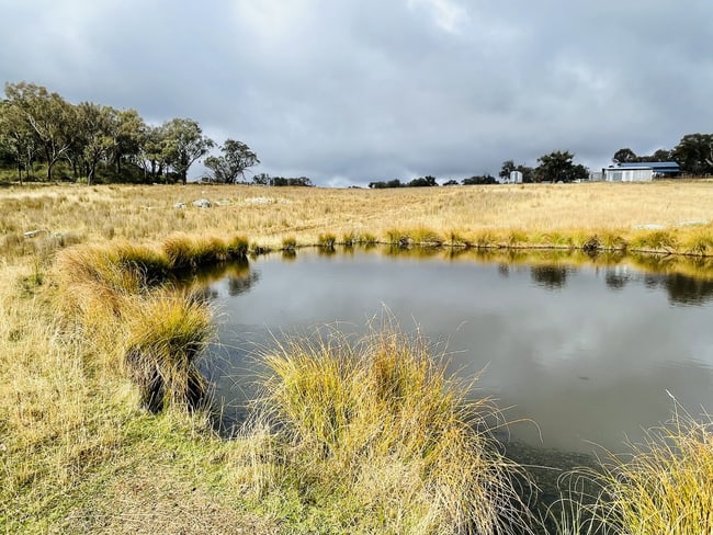 568 Airlie Stock Route Road Tamworth NSW 2340