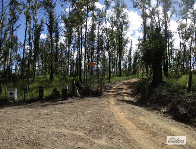 215 Martin Road Nymboida NSW 2460 215 Martin Road Nymboida NSW 2460