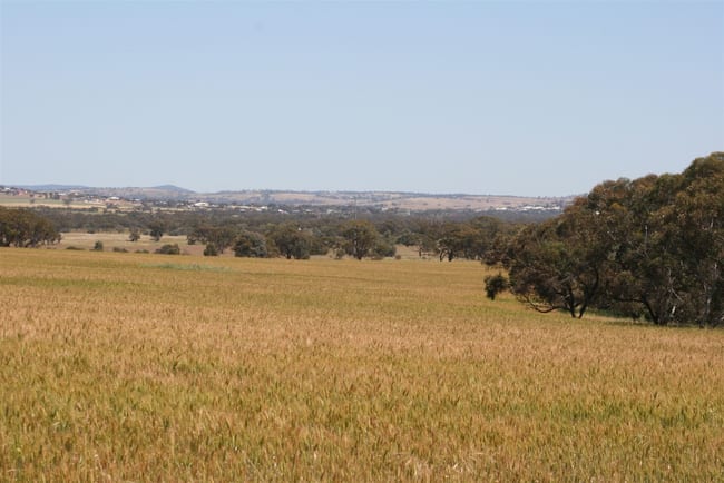 . Boramin & Mulukine Road Grass Valley WA 6403 . Boramin & Mulukine Road Grass Valley WA 6403
