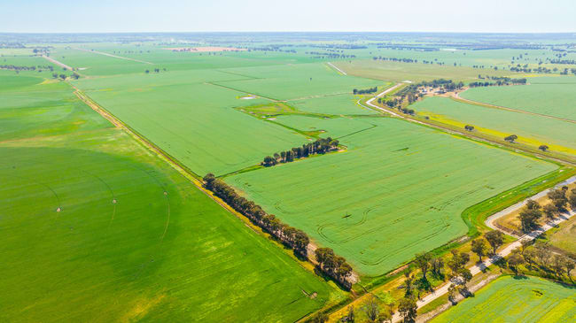 299 Sherwins Road Berrigan NSW 2712 299 Sherwins Road Berrigan NSW 2712