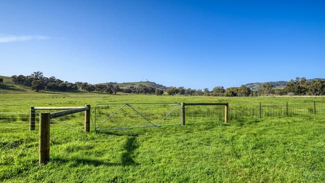 175 Balmattum Road Violet Town VIC 3669 175 Balmattum Road Violet Town VIC 3669