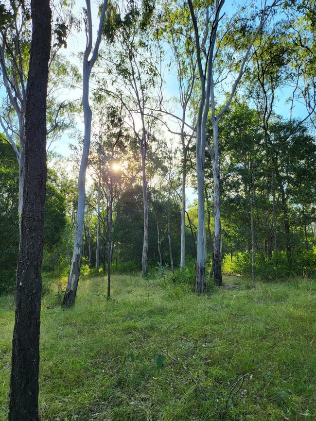 244 Old Esk North Road South East Nanango QLD 4615 244 Old Esk North Road South East Nanango QLD 4615