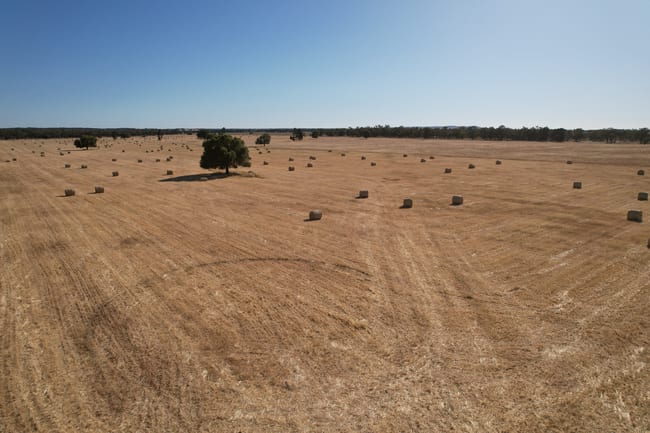 'Boree Glen' 456 Whymarks Lane Tullibigeal NSW 2669 'Boree Glen' 456 Whymarks Lane Tullibigeal NSW 2669