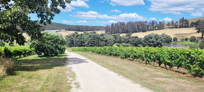 167 Adams Road Lebrina TAS 7254