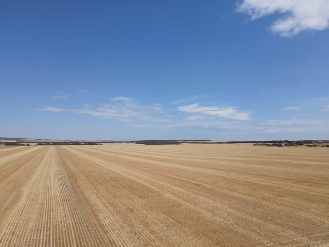 'Raysons' Section 1, 28 & 145 Eyre Highway Solomon SA 5641 'Raysons' Section 1, 28 & 145 Eyre Highway Solomon SA 5641