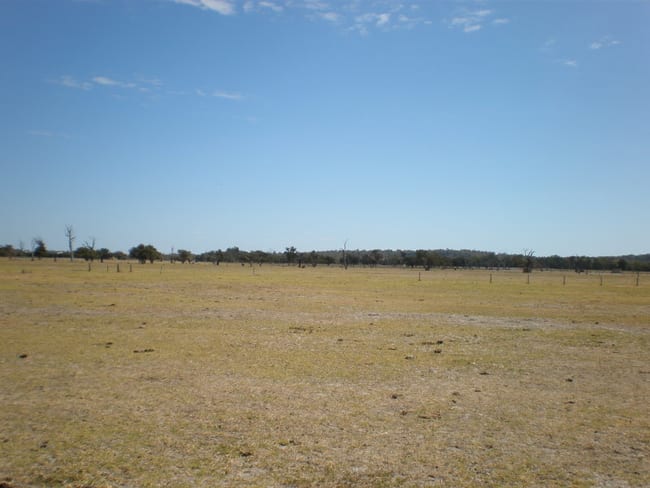 Lot 1032 River Road Hopeland WA 6125 Lot 1032 River Road Hopeland WA 6125